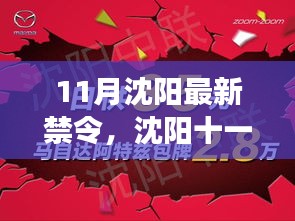 沈陽11月新禁令出臺,法規更新與溫馨瞬間