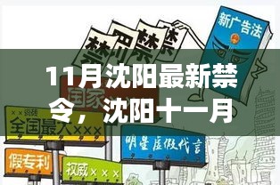 沈陽11月新禁令出臺,法規更新與溫馨瞬間