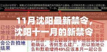 沈陽11月新禁令出臺,法規更新與溫馨瞬間