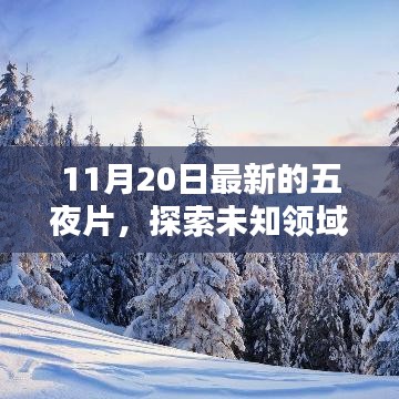 揭秘五夜片的魅力與最新動態,未知領域的探索之旅(以11月20日更新為例)
