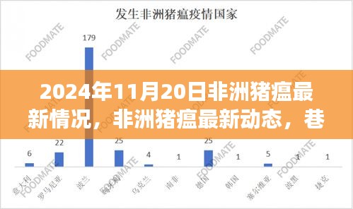 非洲豬瘟最新動態及巷弄深處的特色小店探索之旅(2024年11月20日)