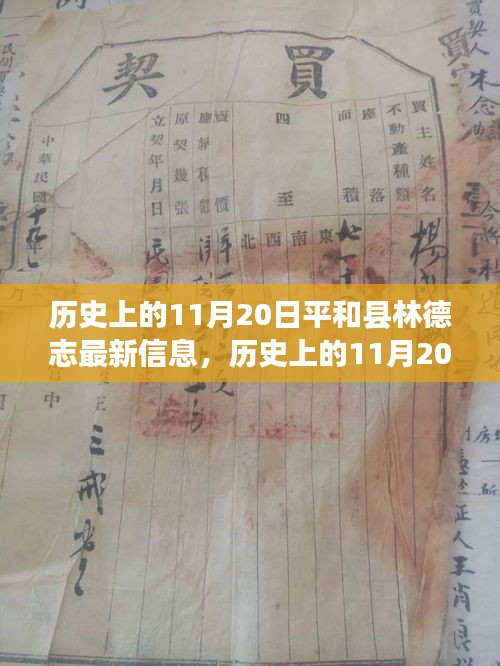 歷史上的11月20日,平和縣林德志最新信息概覽