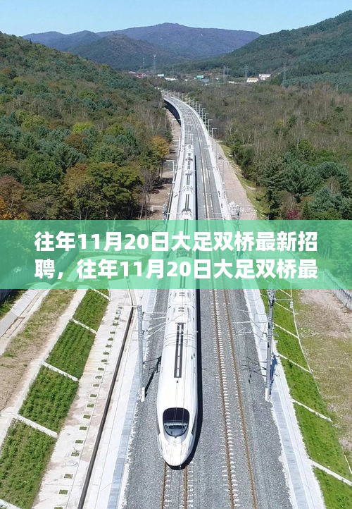 往年11月20日大足雙橋最新招聘市場深度解析與測評報告