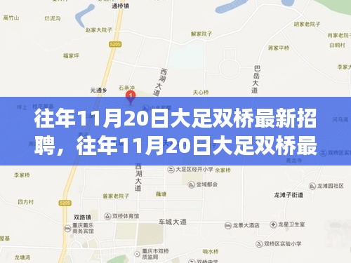 往年11月20日大足雙橋最新招聘市場深度解析與測評報告