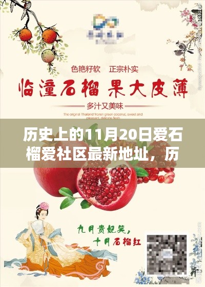 歷史上的11月20日,愛石榴愛社區最新地址大揭秘,開啟新篇章探索之旅!