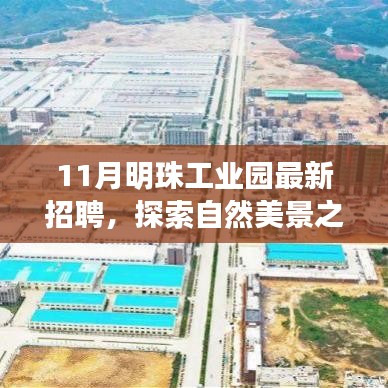 十一月明珠工業園招聘啟事,探索自然美景,尋找內心寧靜與平和之旅