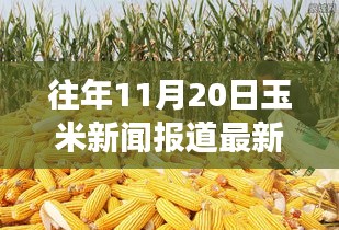 探秘巷弄深處的驚喜小店,往年玉米新聞回顧與隱藏式特色小店的玉米香之旅