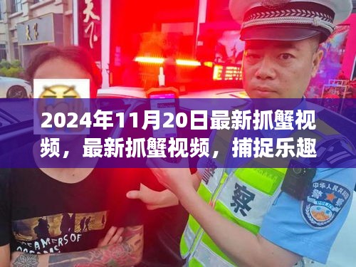 最新抓蟹視頻，捕捉樂趣與生態(tài)平衡交織的探討