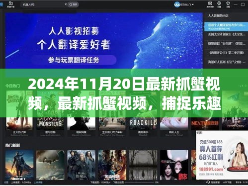 最新抓蟹視頻,捕捉樂趣與生態(tài)平衡交織的探討