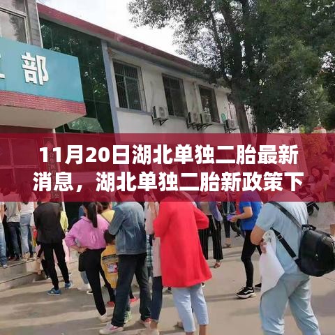11月20日湖北單獨二胎最新消息,湖北單獨二胎新政策下的自然探索之旅,尋找內心的寧靜與和諧