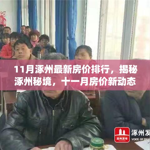 揭秘涿州最新房價動態(tài)，綠色之旅探尋內心平靜之地