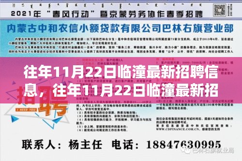 往年11月22日臨潼最新招聘信息匯總與解析