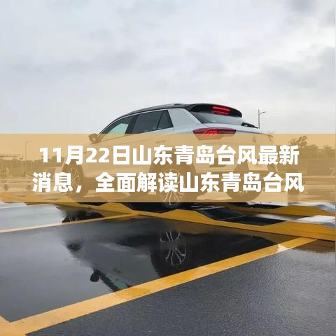 山東青島臺風(fēng)最新動態(tài)，特性解析、競品對比與用戶群體分析體驗報告