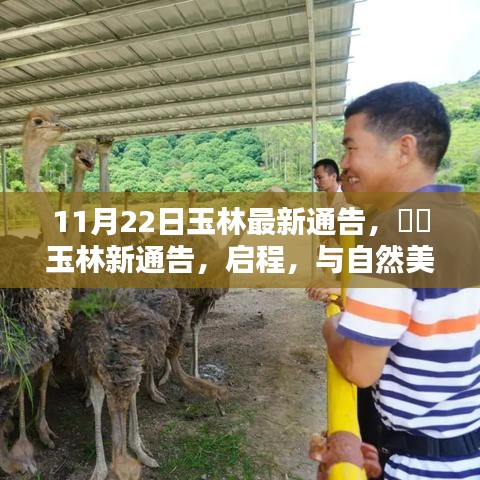 玉林新通告發布,啟程共舞自然美景,探尋內心寧靜之樂