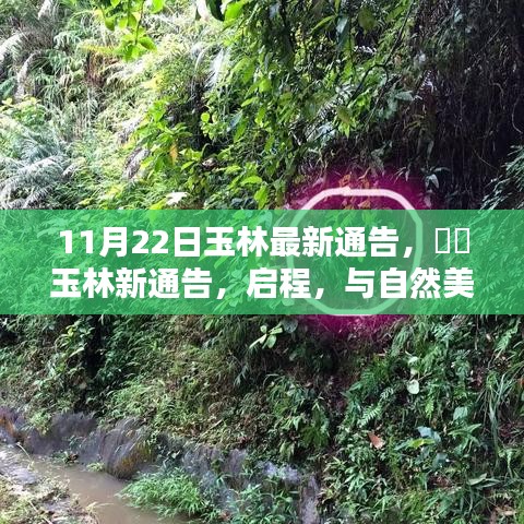 玉林新通告發(fā)布,啟程共舞自然美景,探尋內(nèi)心寧靜之樂