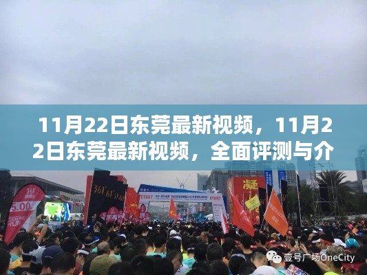 東莞最新視頻全面評測與介紹,11月22日最新動態揭秘