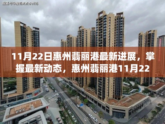 惠州翡麗港11月22日最新進展詳解與操作指南,掌握最新動態!