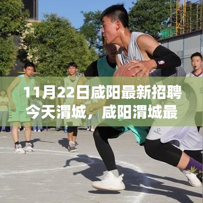咸陽渭城最新招聘求職攻略,教你成功應聘心儀職位(11月22日)