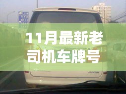 11月最新老司機(jī)車牌號,11月最新老司機(jī)車牌號全面評測與介紹