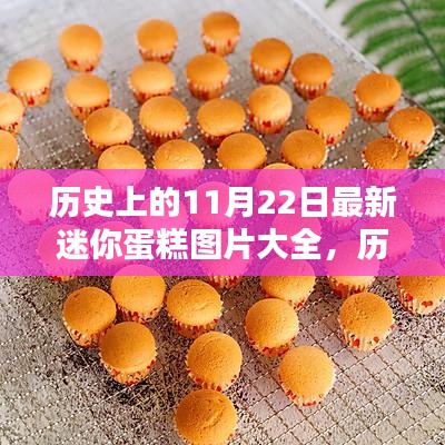 歷史上的11月22日迷你蛋糕圖片精選集,最新圖片大全展示