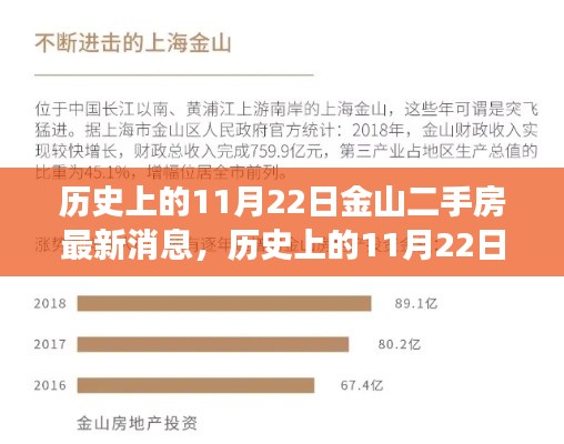 歷史上的11月22日金山二手房市場最新動態(tài)及解析