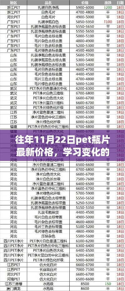 往年11月22日PET瓶片最新價(jià)格,探尋變化的力量,自信與成就的來源