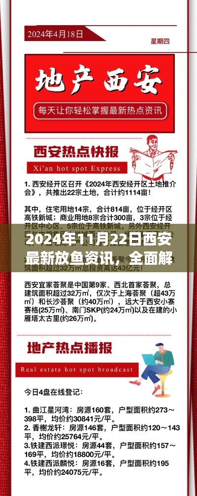 2024年11月22日西安放魚資訊詳解與產品評測