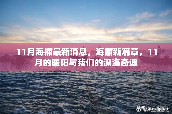11月深海奇遇,海捕新篇章開啟,暖陽下的深海探索之旅