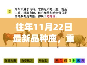 探索最新品種鹿的神奇之旅,鹿界新星重磅更新日揭秘(往年11月22日)