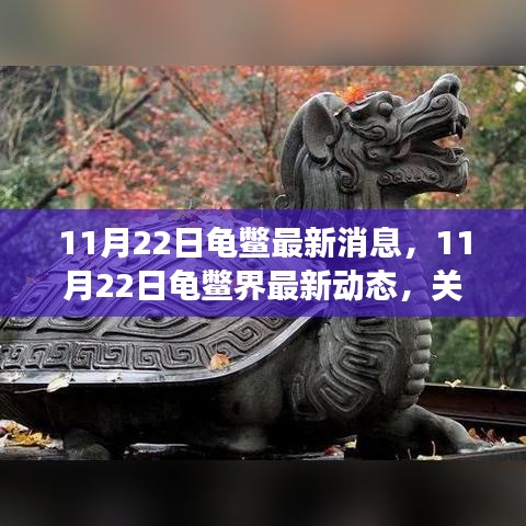 11月22日龜鱉界最新動態，生態健康與保護進展關注焦點