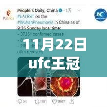 11月22日UFC王冠最新比賽,超越自我,格斗夢想綻放與啟示