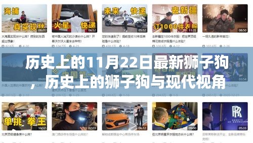 歷史上的獅子狗,從過去到現代的視角探討與最新獅子狗事件回顧