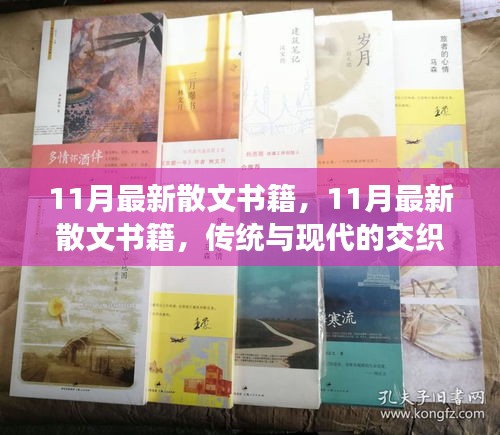 11月最新散文書籍,傳統(tǒng)與現(xiàn)代的交織之美賞析