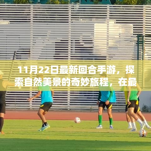 最新回合手游探索自然美景,內心的平和寧靜之旅