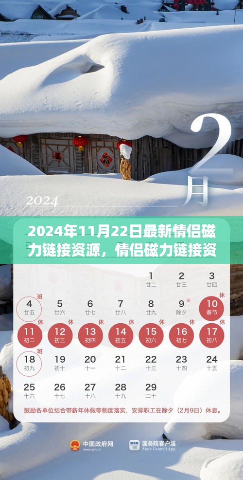 2024年情侶磁力鏈接資源新動(dòng)態(tài),探索最新進(jìn)展與資源