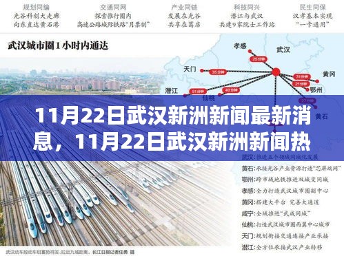 武漢新洲新聞熱點解析,最新消息與熱點解析(日期標注)