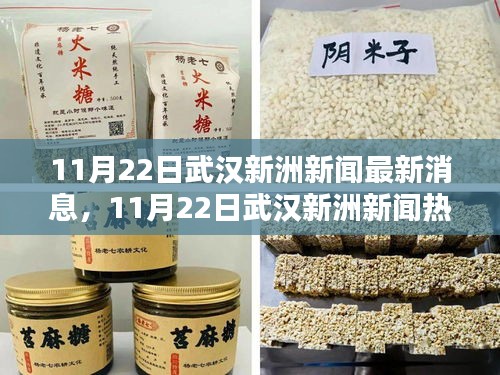 武漢新洲新聞熱點解析,最新消息與熱點解析(日期標注)