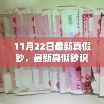 11月22日最新真假鈔識(shí)別指南,全方位教程,從入門(mén)到進(jìn)階