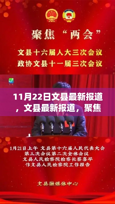 文縣最新報道聚焦,解讀十一月二十二日新聞動態