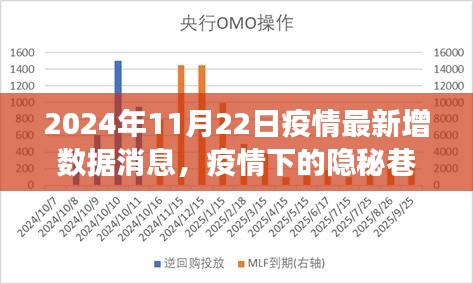 疫情下的隱秘巷弄魅力,特色小店故事與最新數(shù)據(jù)揭秘