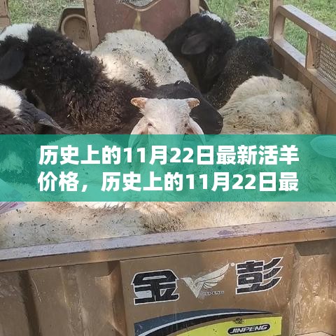 歷史上的11月22日活羊價格深度評測與介紹，最新價格及市場分析