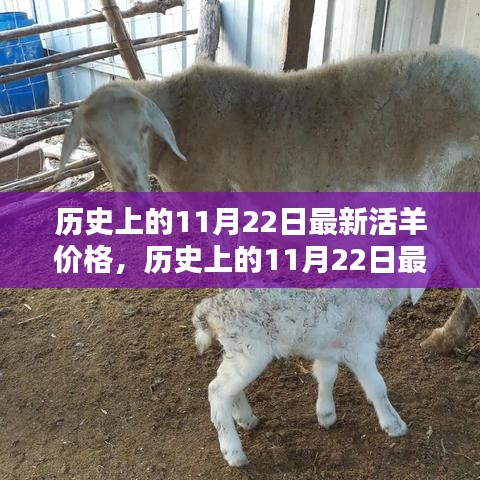 歷史上的11月22日活羊價格深度評測與介紹,最新價格及市場分析