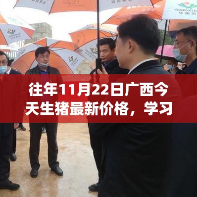 廣西生豬最新價格動態(tài)，見證躍升的力量，成長之路精彩紛呈