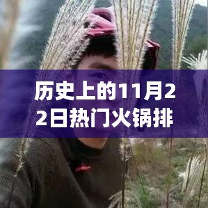 火鍋情緣,歷史上的11月22日熱門火鍋排名與味蕾的溫暖故事