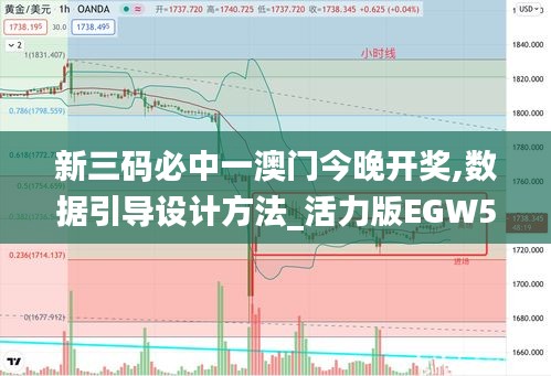新三碼必中一澳門今晚開獎,數據引導設計方法_活力版EGW5.82