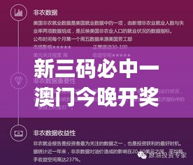 新三碼必中一澳門今晚開獎,數據引導設計方法_活力版EGW5.82
