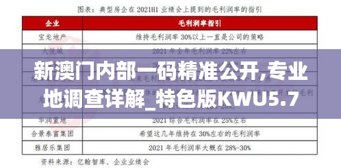 新澳門內(nèi)部一碼精準(zhǔn)公開,專業(yè)地調(diào)查詳解_特色版KWU5.7
