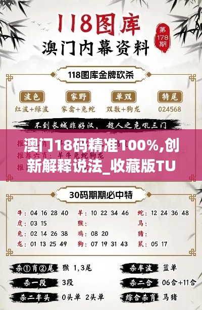 澳門18碼精準100%,創新解釋說法_收藏版TUP5.73
