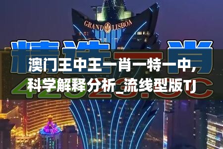 澳門王中王一肖一特一中,科學解釋分析_流線型版TJE5.84