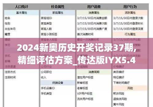 2024新奧歷史開獎記錄37期,精細評估方案_傳達版IYX5.41
